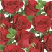 Daisy Maki lunch/diner servetten - 20x st - 33 x 33 cm - rode rozen - feestservetten
