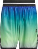 Adidas Crazy Lite Aop 5" Korte Broek Groen XL Man