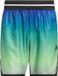 Adidas Crazy Lite Aop 5" Korte Broek Groen XL Man