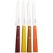 Opinel Bon Appetit 3270 Agrumes, 4-delige tafelmessenset