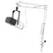 FIFINE XLR Dynamische Podcast-microfoon, RGB Gaming Microfoon, USB, met Microfoonhouder voor Computer, PS4, PS5, Podcast-Studio, Podcast-Opname, Wit