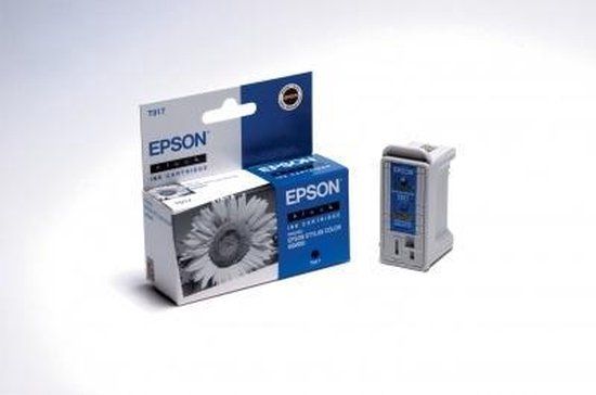 Epson Sunflower Twinpack Black T017