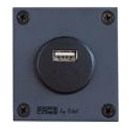 PROS Uniseks Volwassen NPE-213 MÓDULO CARGA USB 12/24V / 5V 2.1A, Multicolor, Standaard