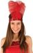 Icecat 2x stuks hoofdband rood Charleston met veren voor dames - Carnaval verkleed artikelen
