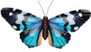 Pro Garden Wanddecoratie vlinder - blauw - 49 x 34 cm - metaal