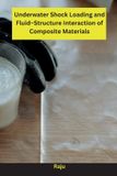 Underwater Libri GmbH Underwater Shock Loading and Fluid-Structure Interaction of Composite Materials