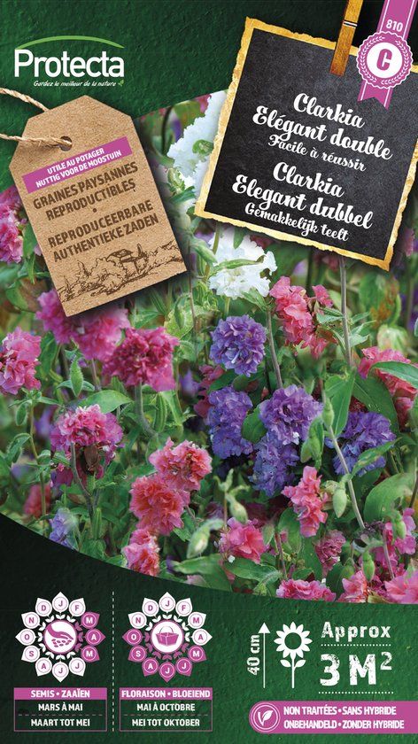 Protecta Bloemen zaden: Clarkia elegant dubbel gemengd - 2 gram