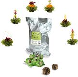 Creano Theebloemen Groene Thee Grootverpakking - 36 Stuks