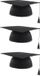 Funny Fashion Afstudeer doctoraal hoedje geslaagd - 10x stuks - Zwart - Polyester - Unisex - Volwassenen