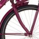 Cortina voorvork 24 u4 meisjes carmen violet