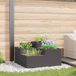 Maison Exclusive - Pot de fleurs pour jardin, Noir, 100 x 100 x 48 cm, Acier