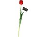 Countryfield Kunstbloem Tulp Tulipa - 44 cm - Rood - Zijde