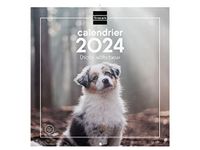 Finocam Muurkalender 30 x 30 cm 2024 Franse puppy's