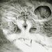Sonic Rendezvous Wastes - Into The Void Of Human Vacuity (CD)
