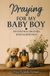 Praying for My Baby Boy: Devotional Prayers with Scriptures