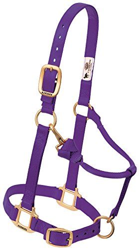 Weaver Leather Verstelbare Nylon Paarse Pony Halster