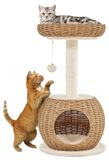 Merkloos Krabpaal Klimboom 75 cm Sisal Beige Met Kattenhol en Kattenmand