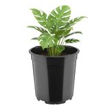 Garronda Hoge ronde kunststof bloempot met drainagegaten (Zwart, Ø21 x 20 cm (5L))