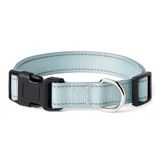 Amazon Basics Blauwe Verstelbare Hondenhalsband, Groot