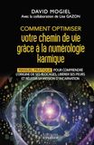 Comment optimiser votre chemin de vie grâce à la numérologie karmique - Manuel pratique pour comprendre l'origine de ses blocages, libérer ses peurs et réussir sa mission d'incarnation