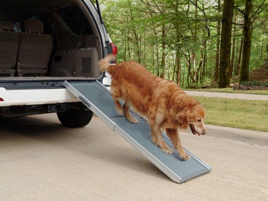 PetSafe Happy Ride Deluxe Telescoping Hondenloopplank - Grijs/Zilver - M