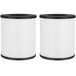 Fette Filter - VK-6067B H13 True HEPA-filters compatibel met HOKEKI VK-6067B & Vremi True Hepa luchtreinigers H13 met actieve kool- Pack van 2 (VK6067B)