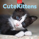 Cute Browntrout Cute Kittens 2027 12 X 24 Inch (Hanging) Monthly Square Wall Calendar Plastic-Free