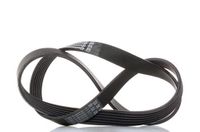 CONTITECH 6PK1084 V-riem