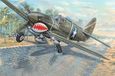 Trumpeter P-40F War Hawk Bouwpakket Schaal 1:32