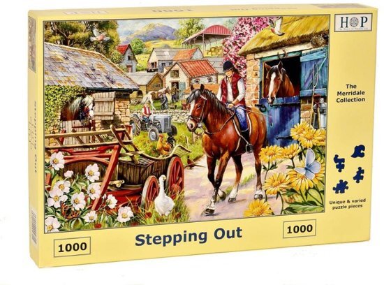 House Of Puzzles Stepping Out Puzzel 1000 stukjes