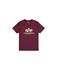 ALPHA INDUSTRIES Shirt pasteelgeel / bourgogne