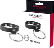 DARKNESS BONDAGE Metal Ring For The Penis And Testicles BDSM