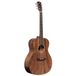 J.N Guitars Dovern Series DOV-A guitare acoustique
