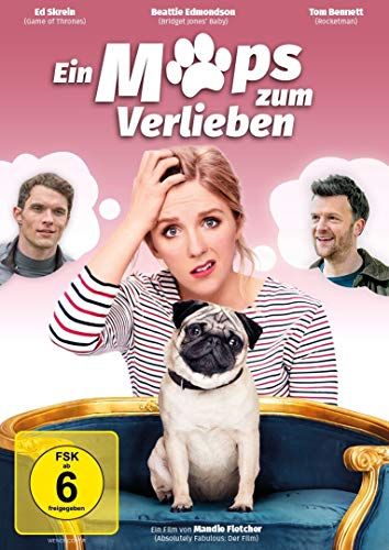 Ein ALIVE AG Ein Mops zum Verlieben