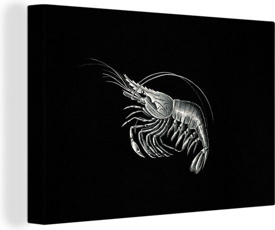 OneMillionCanvasses Canvas Schilderij - Garnalen - Zeedier - Ernst Haeckel - 180x120 cm