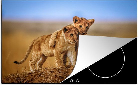 KitchenYeah® Inductie beschermer 77x51 cm - Leeuwen - Inductiebeschermer