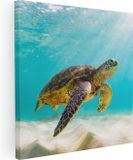 Artaza Canvas Schilderij Schildpad Zwemt in de Helder Blauwe Zee - 80x80 - Foto Op Canvas - Canvas Print