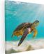 Artaza Canvas Schilderij Schildpad Zwemt in de Helder Blauwe Zee - 80x80 - Foto Op Canvas - Canvas Print