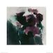The Art Group David Ross (Purple Poppies) - Kunstdruk 40 x 40cm, Papier, Multi kleuren, 40 x 40 x 1,3 cm