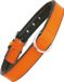 Gloria Dog Collar Gloria Padded Orange (50 x 2.5 cm)