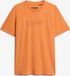 Superdry UTILITY SPORT GRAPHIC T SHIRT Heren T-shirt