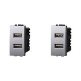 IXTRIMA Dual USB-lader module 5 V 2,1 A - 2 USB-A poorten kleur grijs compatibel met Bticino Living Light/International 2 stuks