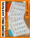 Decodable Reading Practice: for CVC Words| CVC Decodable Reading Word Family Drills| 8.5x11 inches, 30 Pages| For Kindergarten & First Grade Readers| For Teachers, Homeschooling & Parents