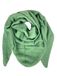 Kumixi Pastel Green Scarf