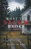 What NMK Press What The Storm Broke Paperback