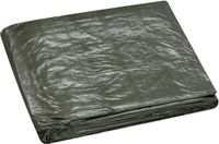 Storch-Ciret WESTEX Dekzeil met ogen, 2 x 3 m, groen