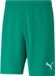 Puma Teamrise Short Heren - Groen | Maat: L