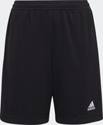 adidas Performance Entrada 22 Trainingsshort - Kinderen - Zwart- 164