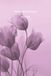 My Sudoku Sanctuary: Be Thankful - A Gratitude Mindfulness Sudoku Journal