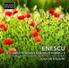 Outhere Grand Piano Josu De Solaun - Complete Works For Solo Piano 2 (CD)